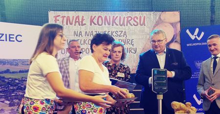 Nagroda za największego ziemniaka Wielkopolski. Kasa za pyrę gigantkę