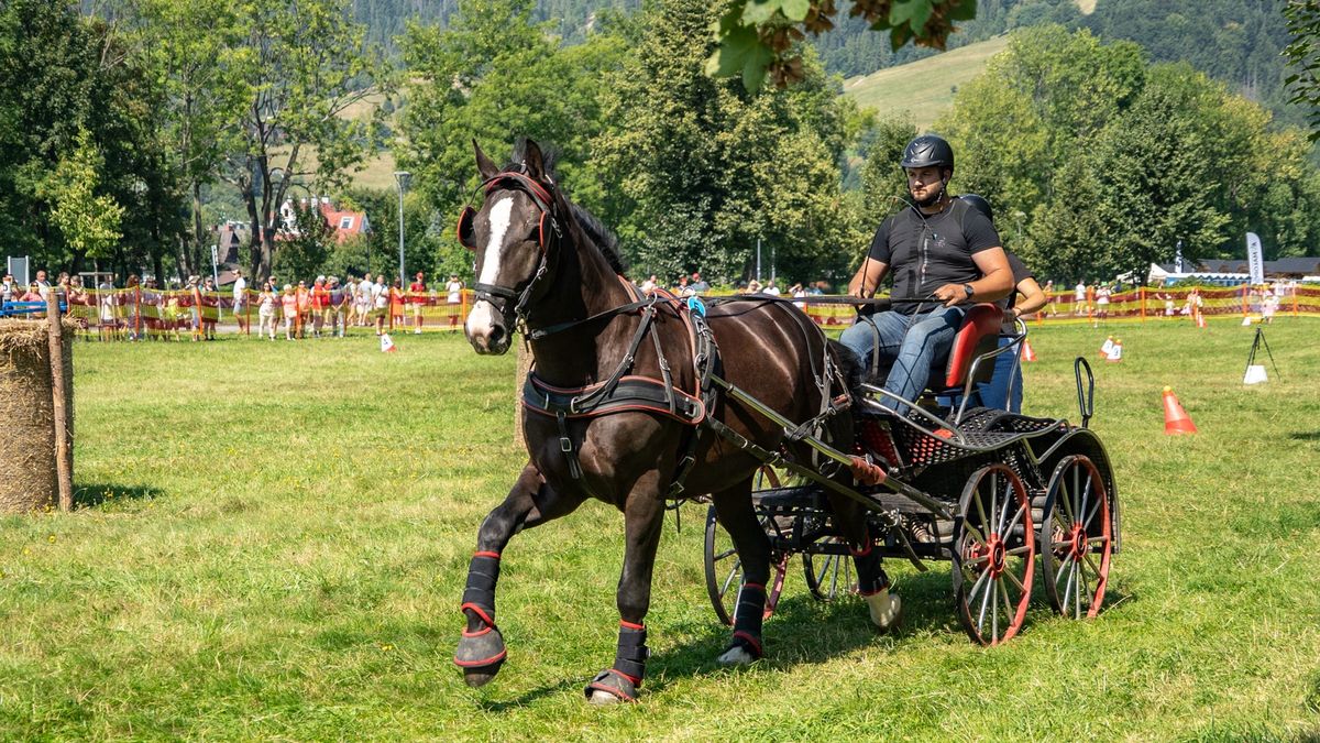 Zakopane, powożenie