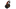 350190307864242113