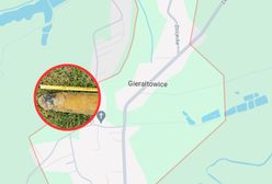 Kopał w ziemi na działce. Groźne odkrycie pod Krakowem