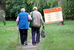 Tyle wyniosą czternastki w 2026 r. Tabela brutto-netto