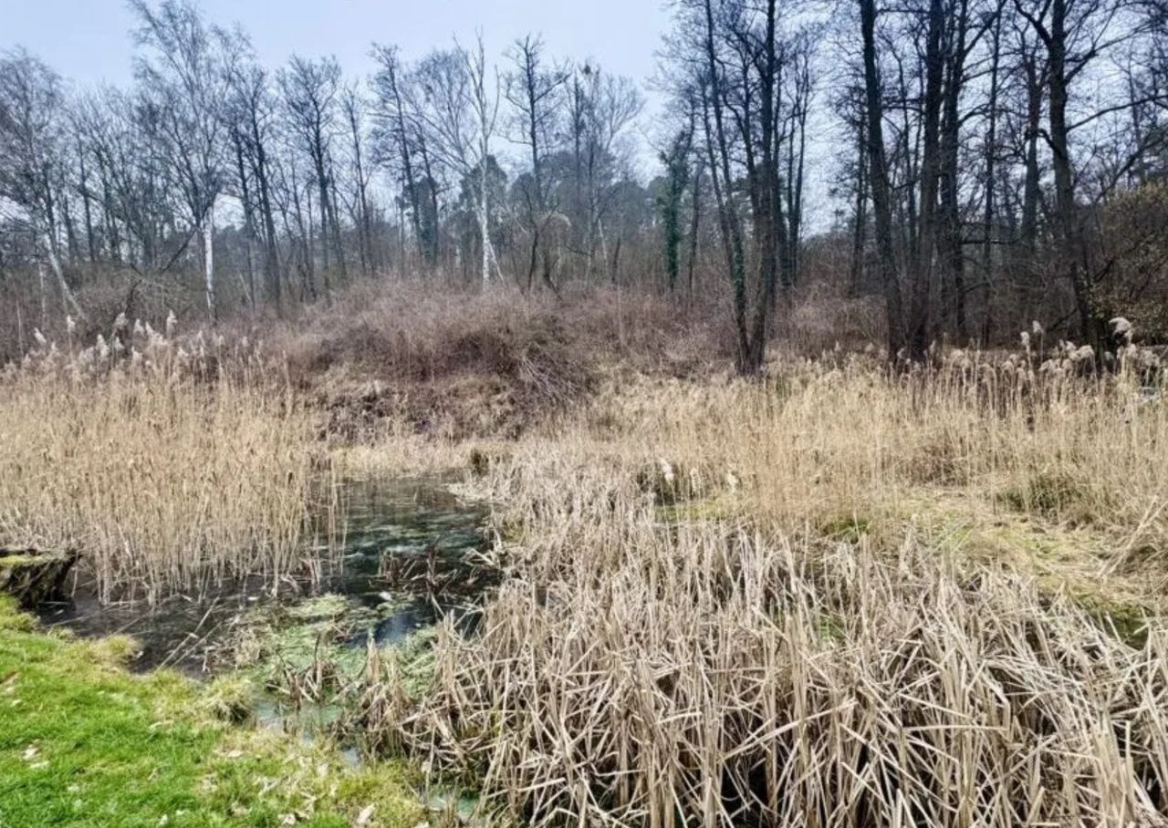 Zapomniany park Czechówek czekają zmiany. Co zostanie zrobione?