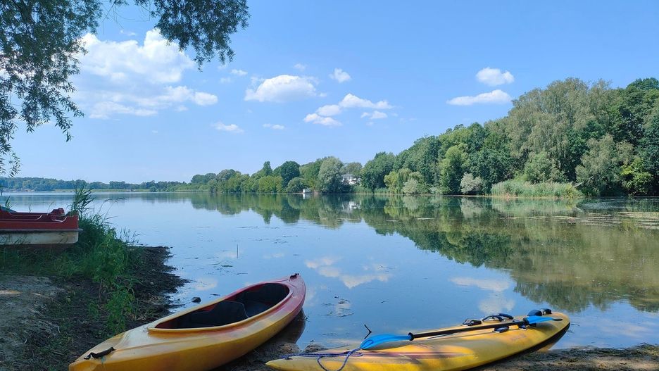Tajemnicza plaża w lesie pod Gliwicami? Zobaczcie