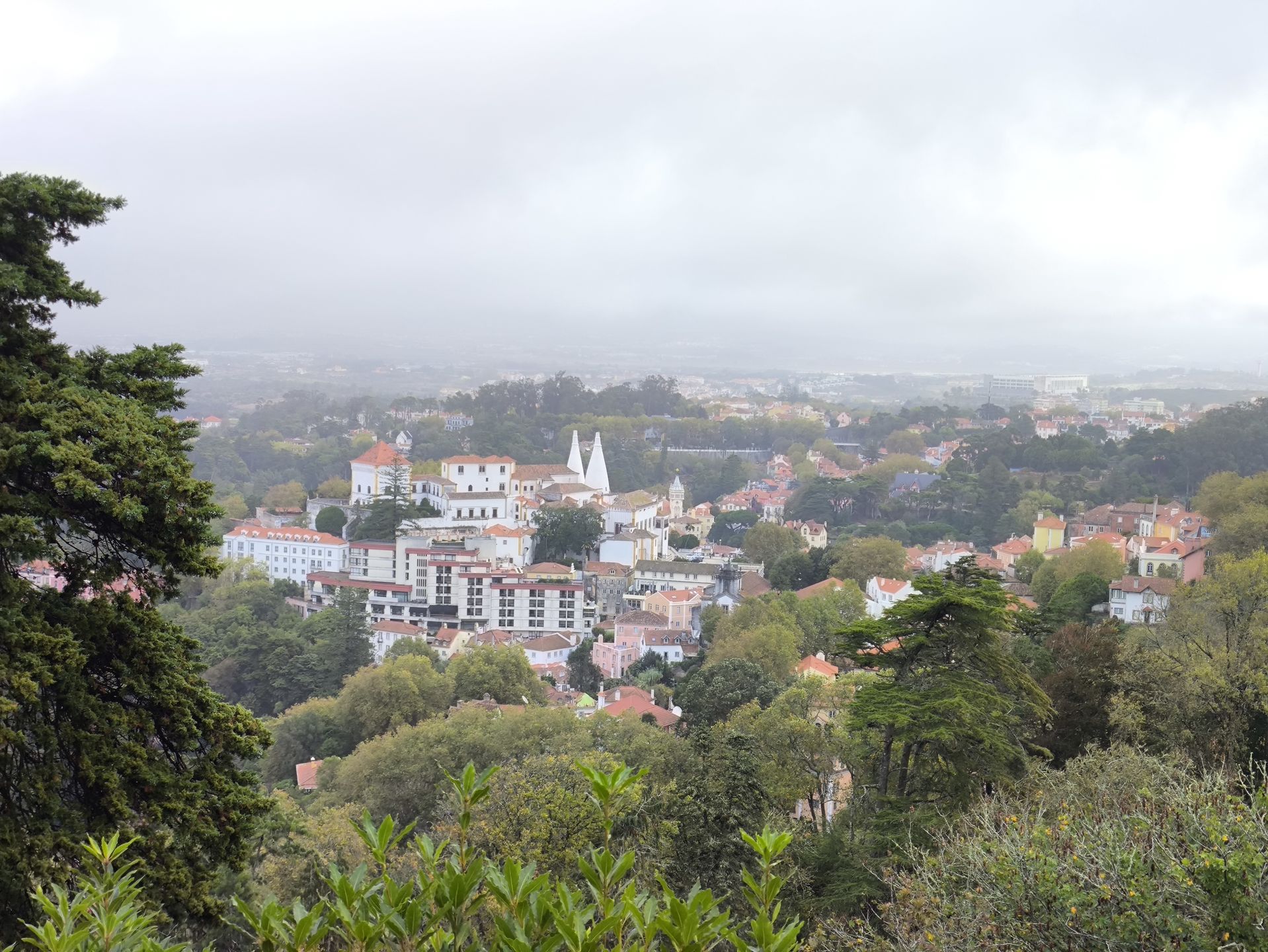 Z ogrodu rozpościera się panorama miasta