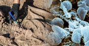 Najstarsza epidemia dżumy? Naukowcy znaleźli dowody sprzed tysięcy lat