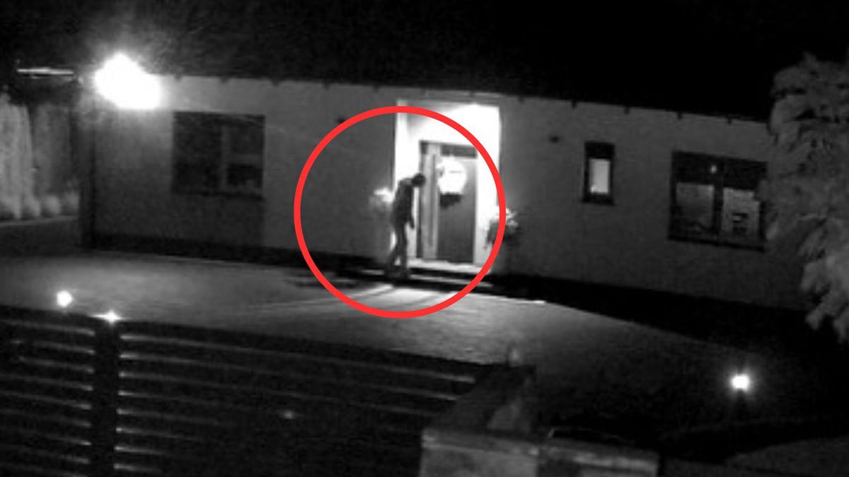 Pan Piotr szuka włamywaczy