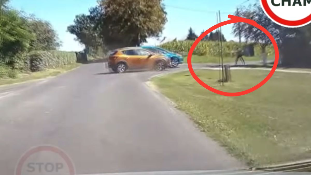 Dla pieszej zderzenie na skrzyżowaniu mogło skończyć się tragicznie