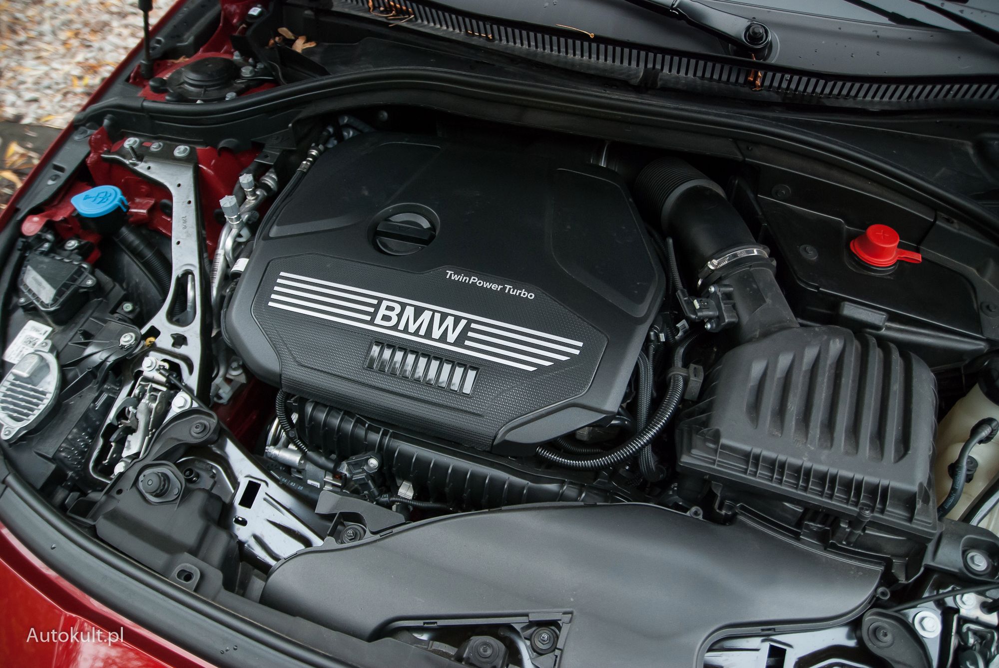 Zdjęcie ilustracyjne do artykułu