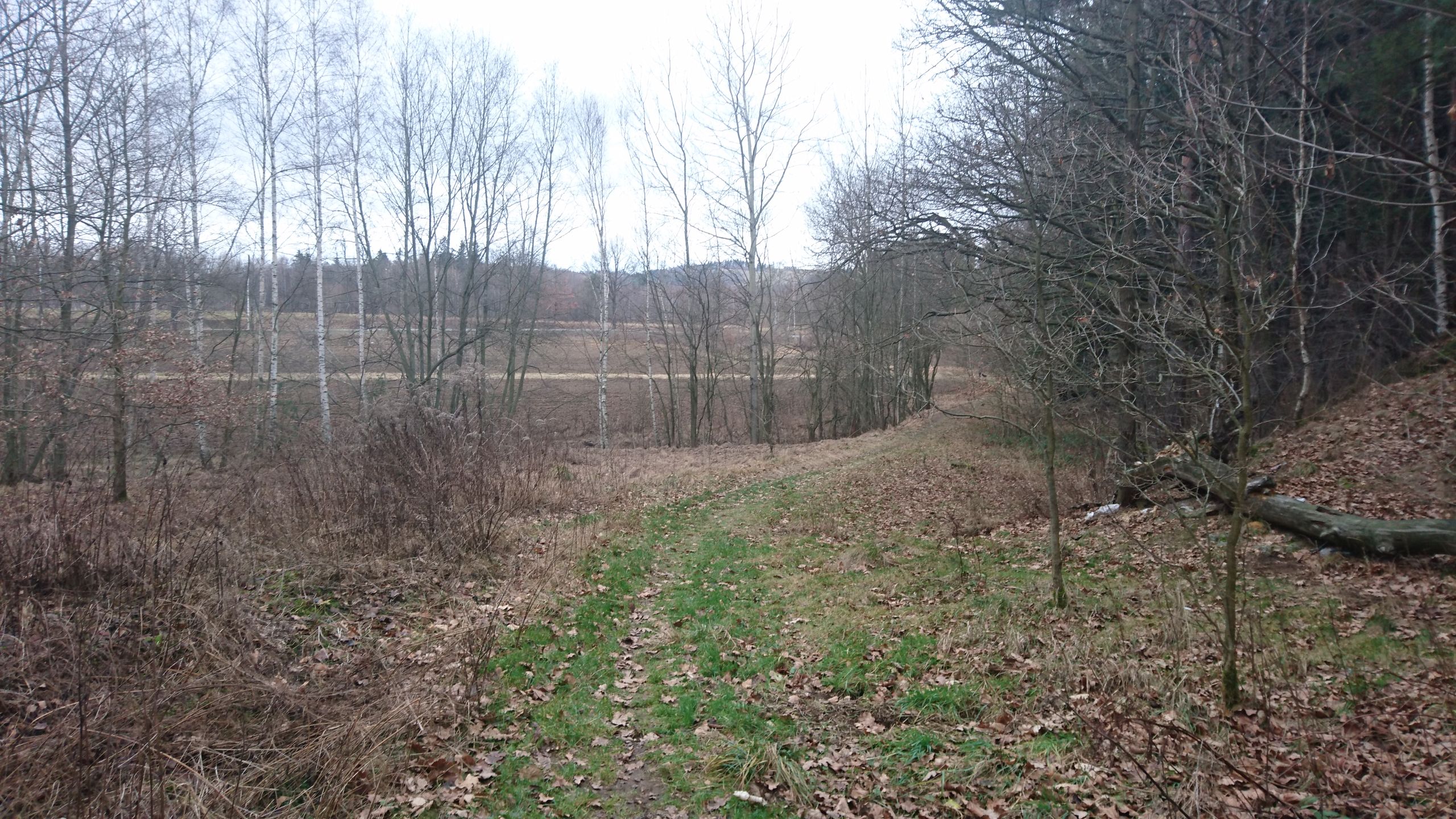 Test Sony Xperia Z5 - sprawdzamy możliwości fotograficzne flagowca 101