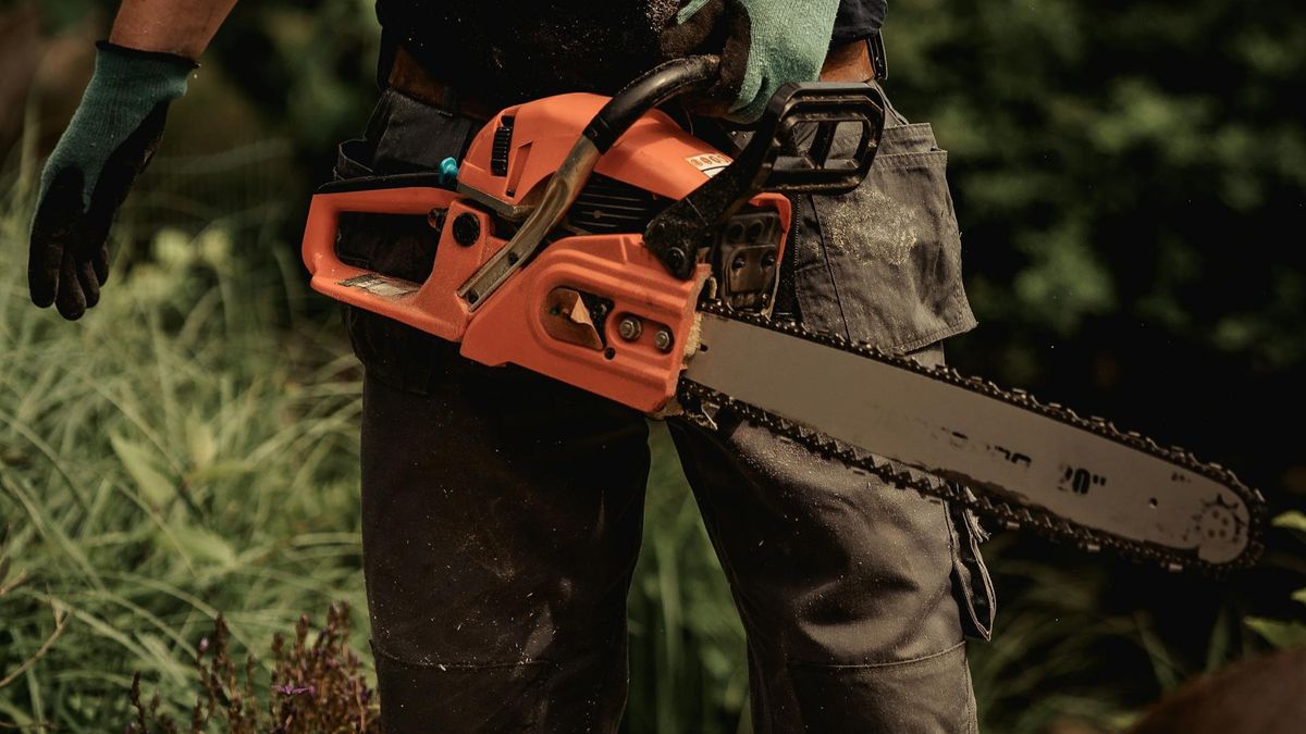 Nie żyje 14-latek, który został uderzony gałęzią podczas wycinki drzew 