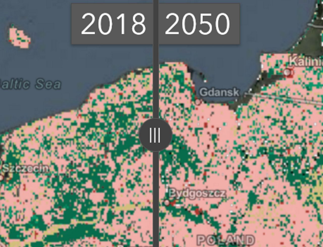 Esri Land Cover 2050 - interaktywna mapa świata
