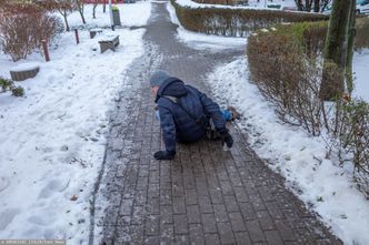 Najemca też musi odśnieżać? "Odgrodzenie terenu taśmą nie rozwiązuje sprawy"