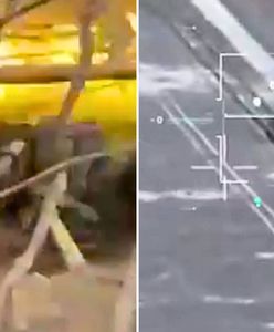 Zaczaili się na Rosjan w zaroślach. Wystarczyły dwa strzały