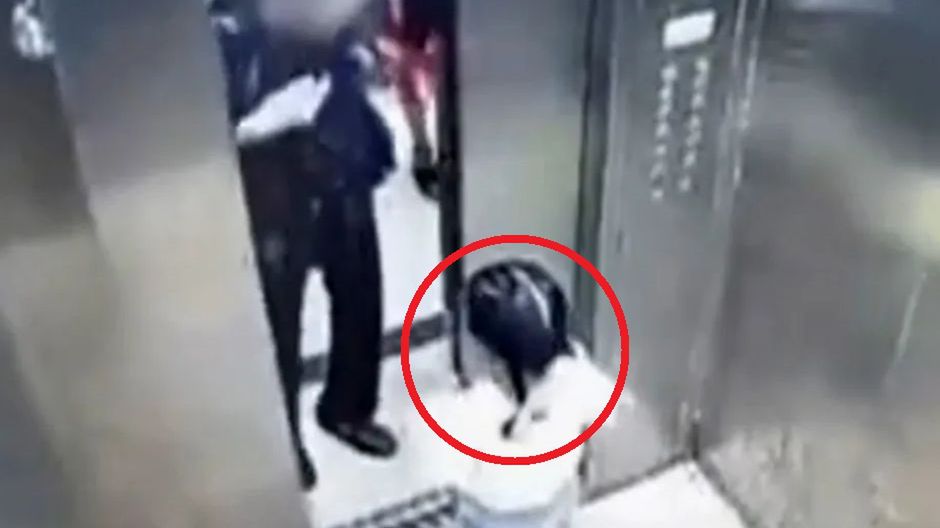 2-latka przypadkiem została uwięziona w windzie. To ostatni raz, kiedy dziewczynkę widziano żywą