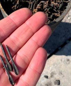 Rosjanie strzelali fleszetkami w Irpieniu. "Przypominają gwoździe"