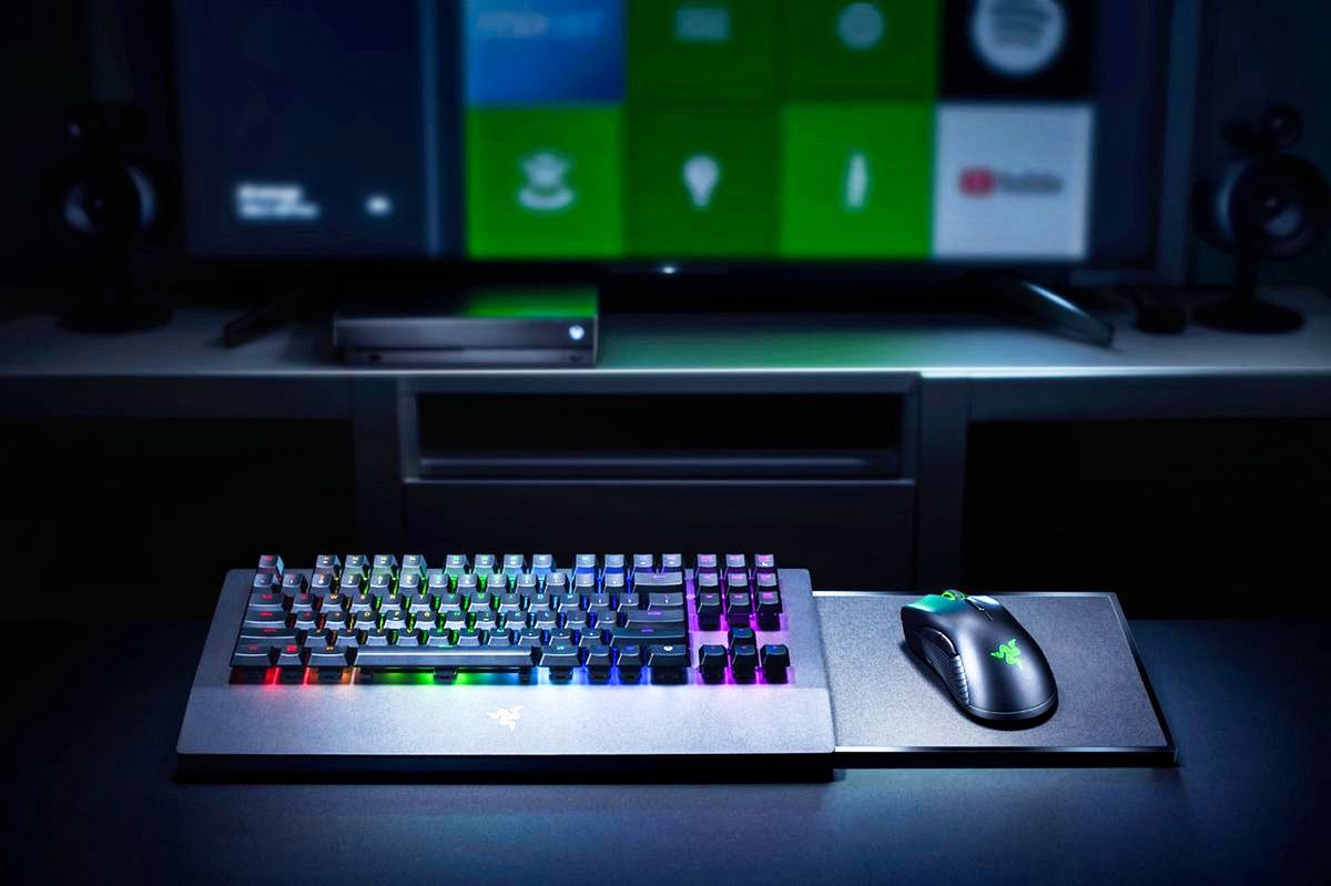 Xbox: Microsoft Edge dodaje obsługę myszki i klawiatury. Można pograć na Stadia albo pisać w Wordzie