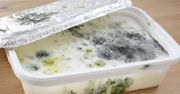 Czy spleśniały produkt zawsze trzeba wyrzucić? Wielu nie wie i popełnia błąd