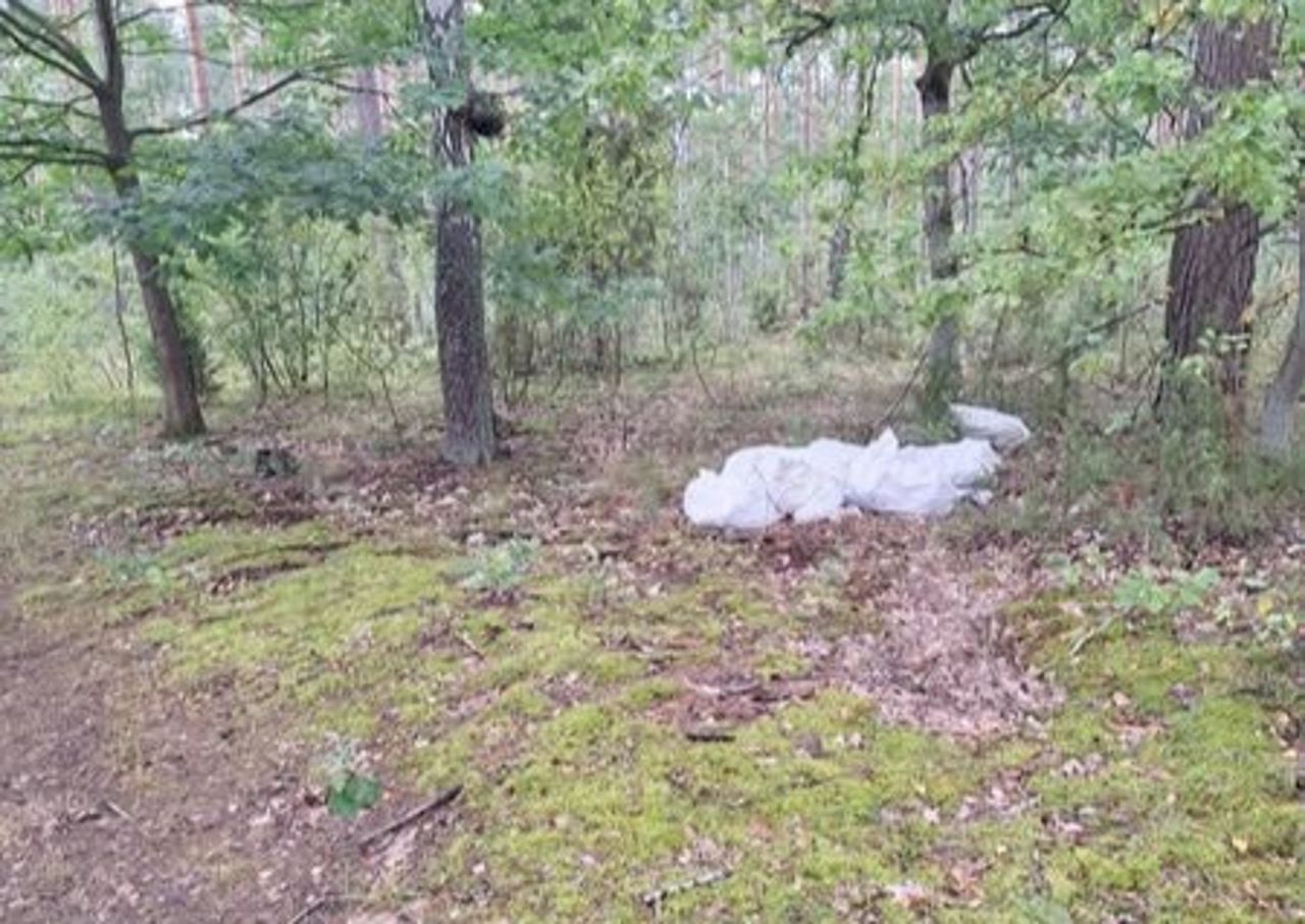 "Prezenty" w lesie. Oto co leśnicy znaleźli w workach