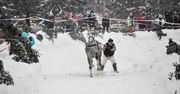 Parada Gazdowska w Kościelisku
