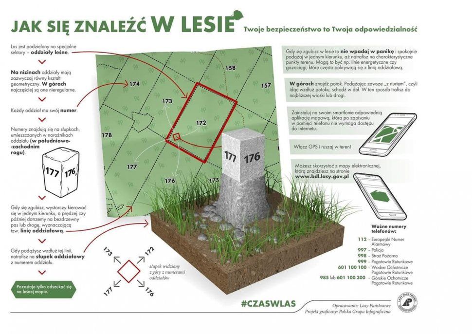 Jak odnaleźć się w lesie?