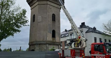 Szczęśliwy finał akcji w Sierpcu. Kot uratowany z wieży ciśnień po trzech dniach!