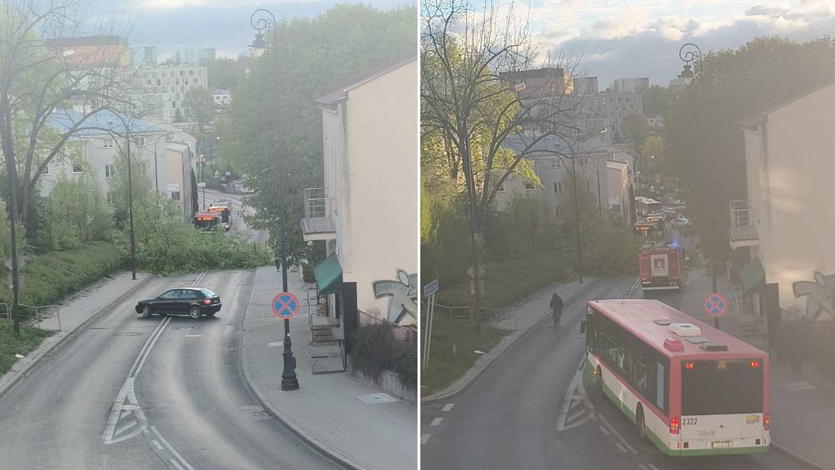 Powalone przez silny wiatr drzewo na ul. Dolna 3 Maja
