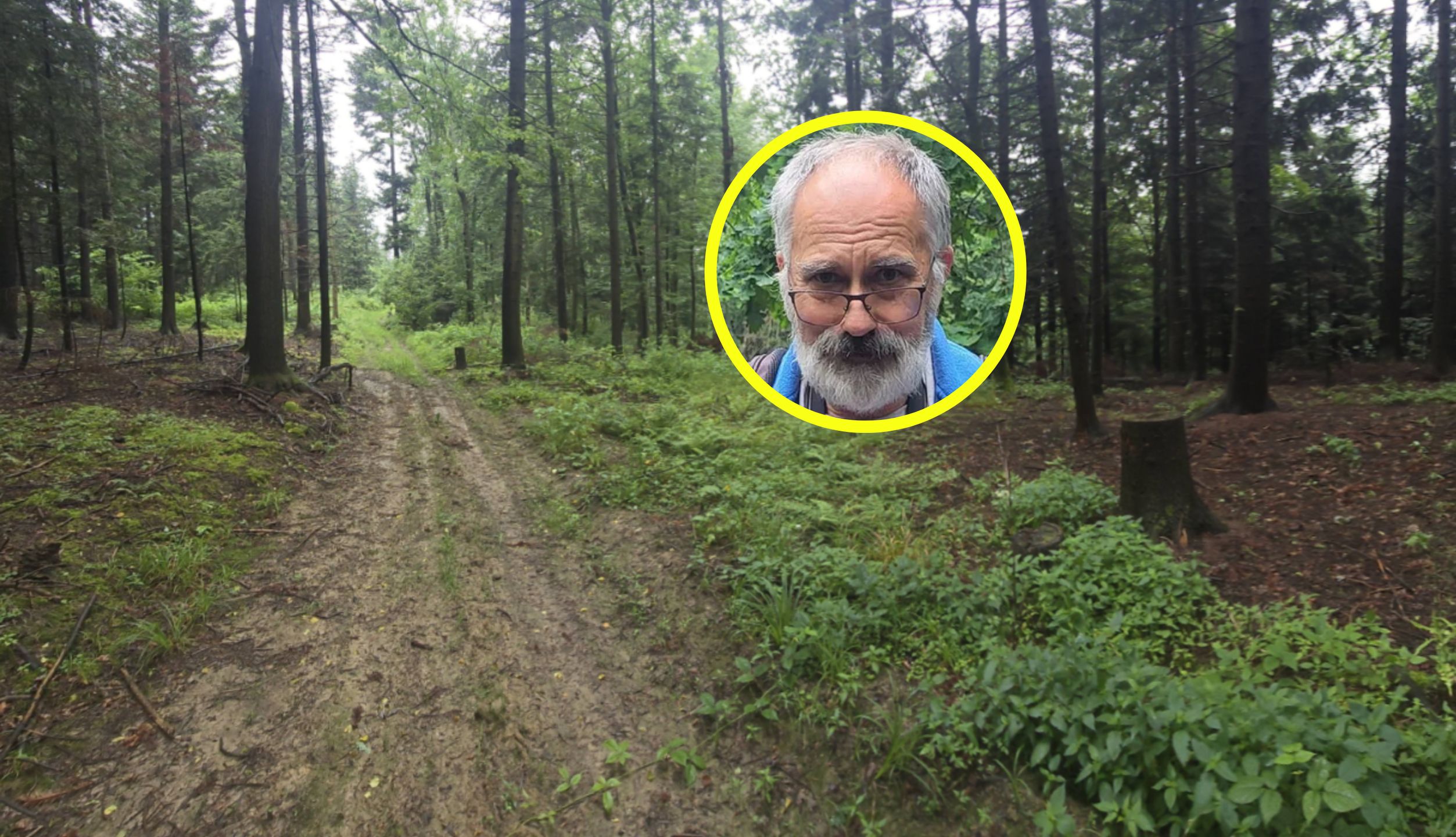 Kiedy na grzybobranie? Trzeba trochę poczekać.