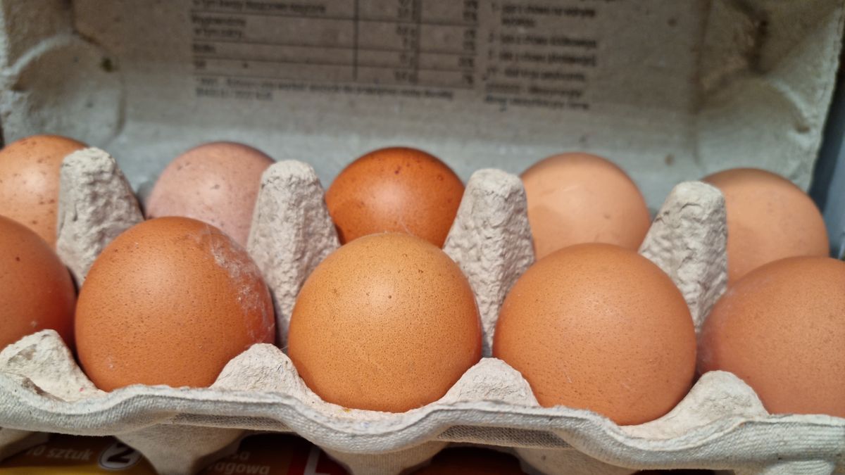 Rosną ceny jaj w sklepach