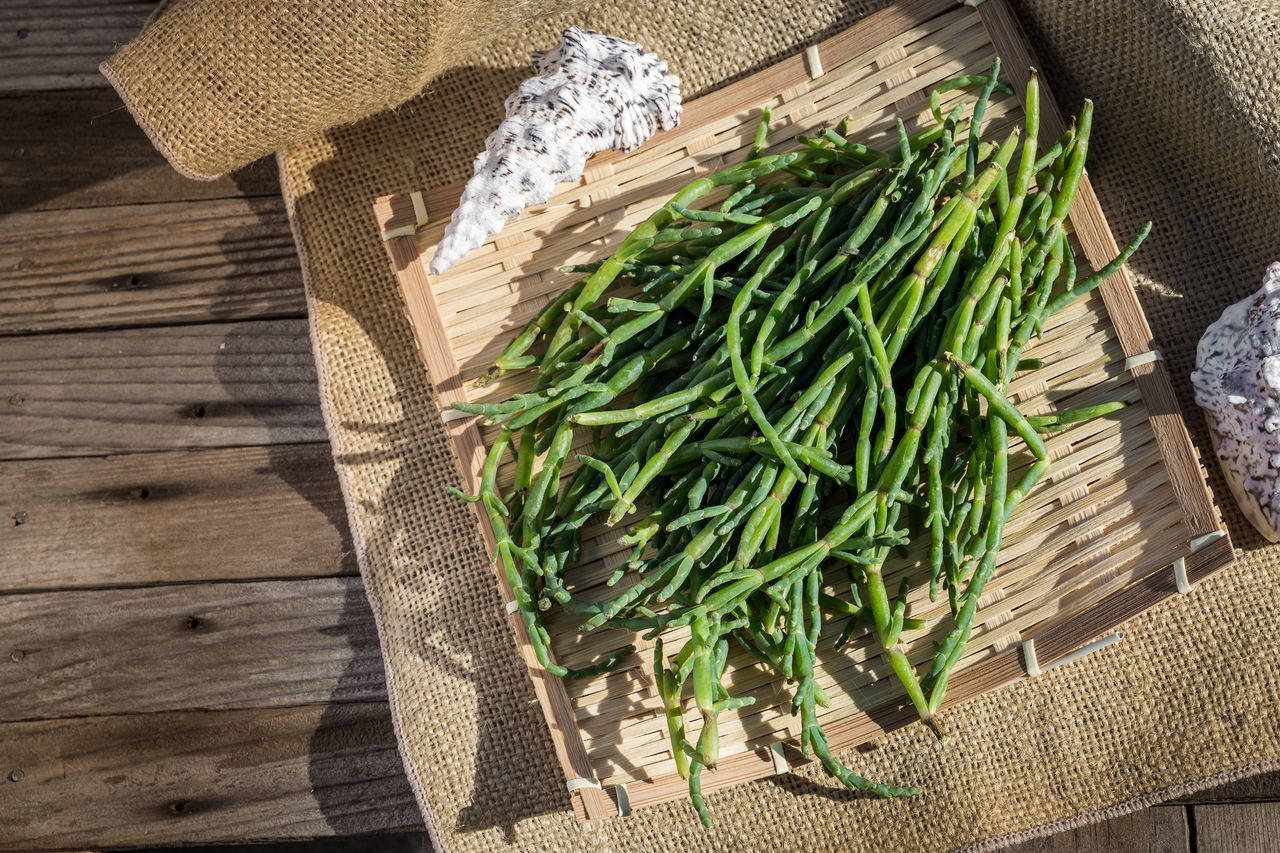 Discover sea beans: The salty superfood enhancing dishes worldwide