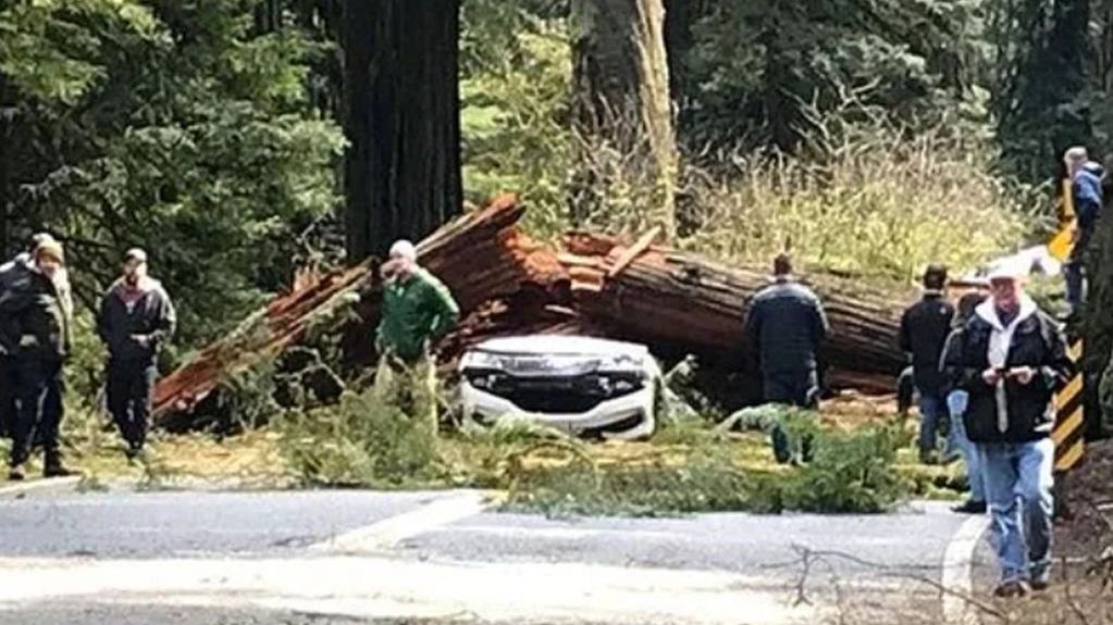 Miejsce tragicznej śmierci rodziców piątki dzieci