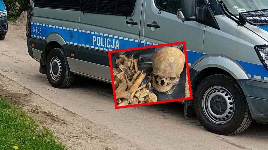 Ludzkie kości i policja (zdjęcie ilustracyjne)