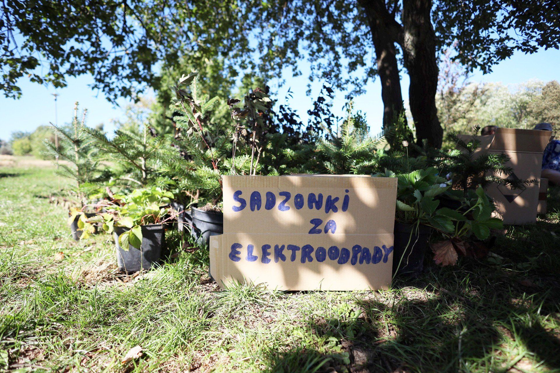 Lublin EcoFest - Razem dla Planety odbywa się w Parku im. Jana Pawła II na Czubach.