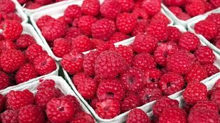 Zmowa przy skupie owoców miękkich? Prezes UOKiK stawia zarzuty