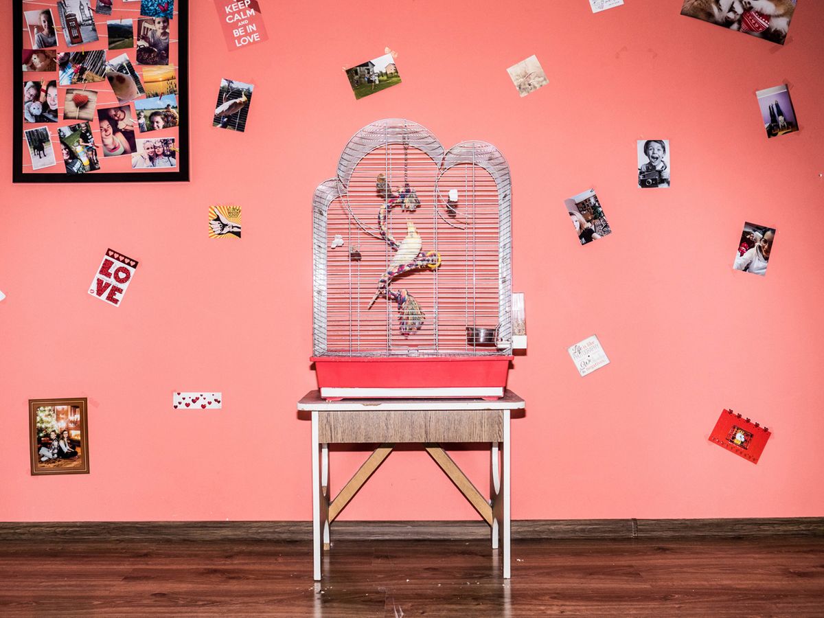 Grand Press Photo 2020: Najbardziej prestiżowe nagrody prasowe w Polsce rozdane 105