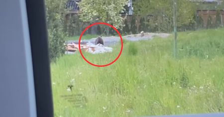 Nagle krzyknął do przechodnia. Sceny u podnóża Tatr