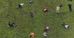 Cheese Rolling