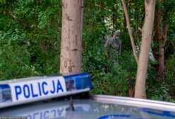 Wołomin. Nie żyją dwie 13-latki. W lesie znaleziono ciała