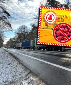 Plastik w malinach z Ukrainy. 20 ton owoców zatrzymanych