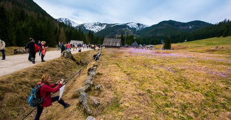 Groźna pułapka w Tatrach. "Jad może być niebezpieczny"