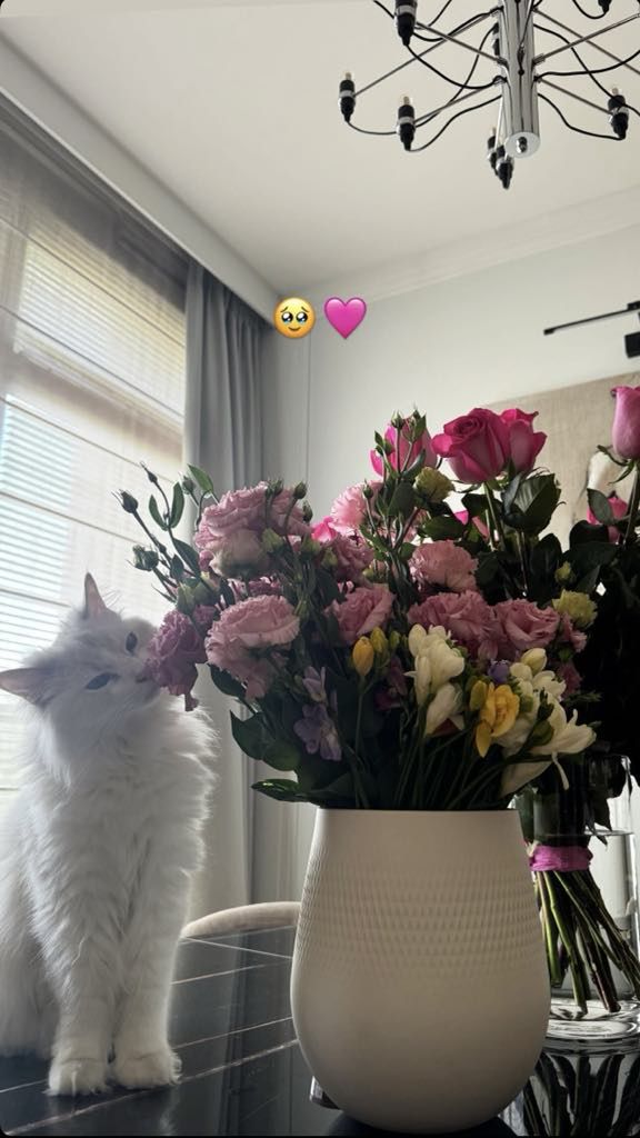 mieszkanie Roksany Węgiel