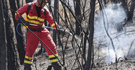 Uciekają przed ogniem. Pilna ewakuacja tysiąca osób w Hiszpanii