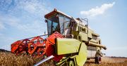 "Złote kolby" niszczą maszyny rolników. Straty liczą w setkach tysięcy