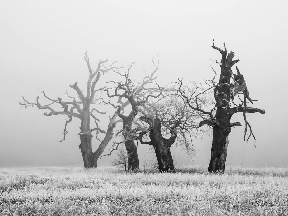 Wielki  Konkurs Fotograficzny National Geographic rozstrzygnięty! Poznajcie zwycięzców 17