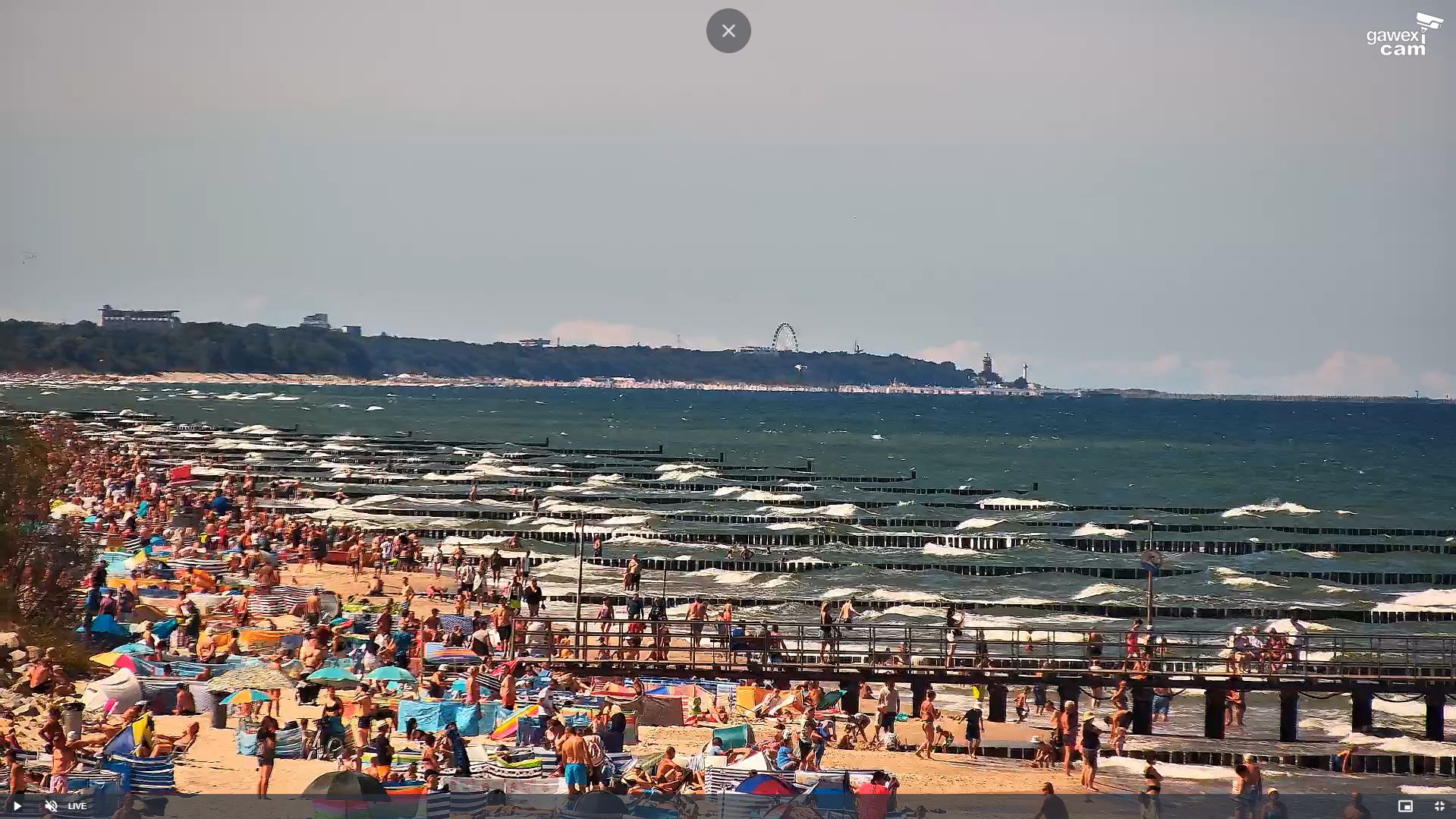 Bulwersujące zachowania turystów w Ustroniu Morskim.
