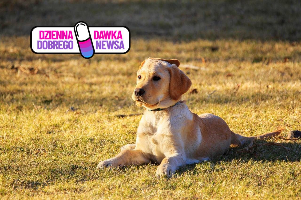 "Rozgrzej Słodziaka".  Wielka akcja w Łodzi