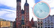 Zauważyli go w Krakowie. Alarm w kościele Mariackim