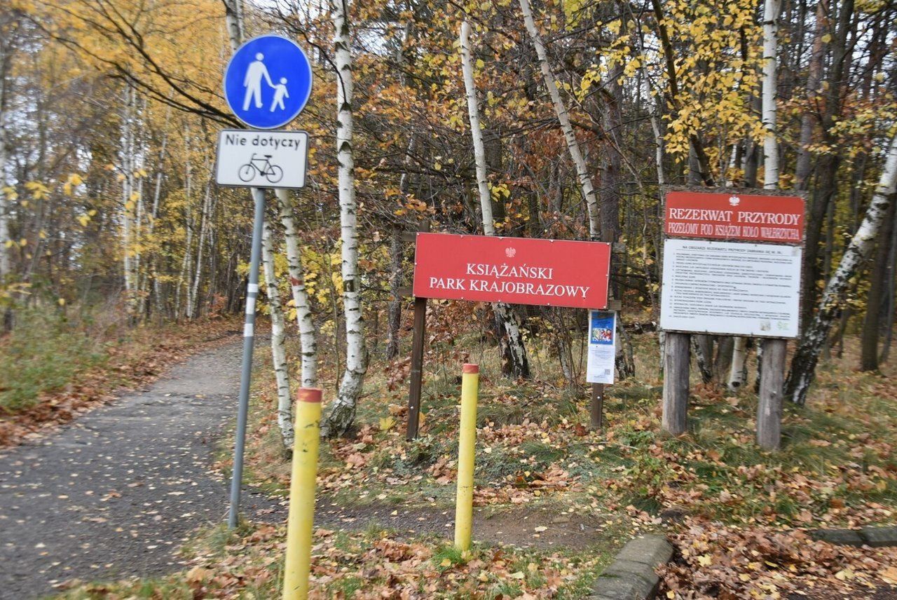 Jesień w okolicach Zamku Książ. Warto tam wybrać się i o tej porze roku