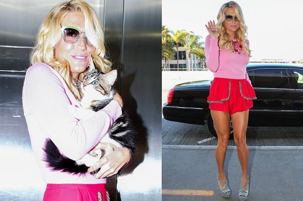 Kesha z kotem na lotnisku... Seksowna? (ZDJĘCIA)