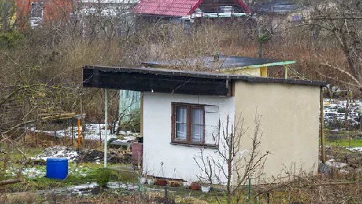 Działki ROD są chętnie wybierane przez mieszkańców miast