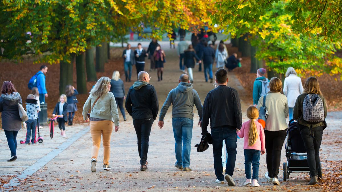 rodzina, rodzice, dzieci, spacer